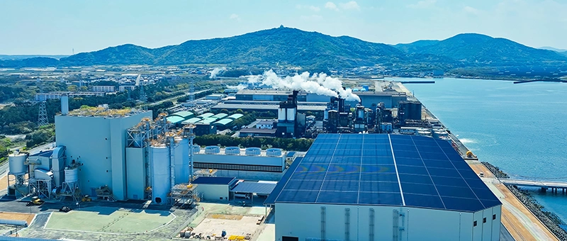 ビューティ＆ウェルネス事業 ウェルネス習慣をつくるセルフケア商品の開発