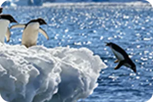 理念・ビジョン