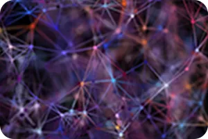 組織図・役員紹介