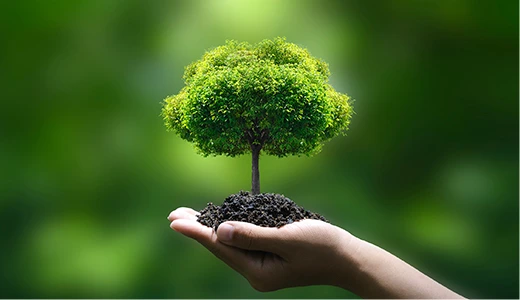 カーボンクレジット事業への参入・推進