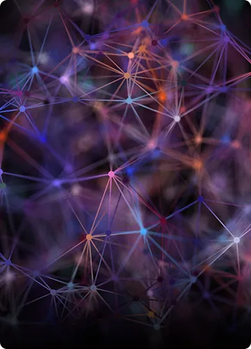 組織図・役員紹介