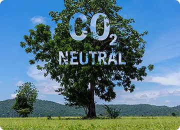 カーボンクレジットの創出・流出