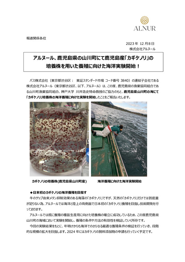 アルヌール、鹿児島県の山川町にて鹿児島産「カギケノリ」の培養株を用いた養殖に向けた海洋実験開始！のPDFサムネイル