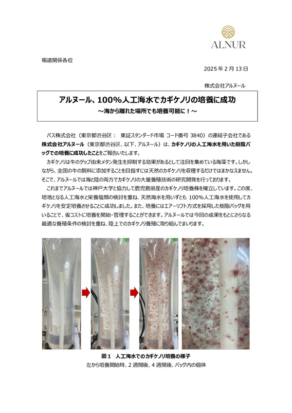 アルヌール、100％人工海水でカギケノリの培養成功のPDFサムネイル