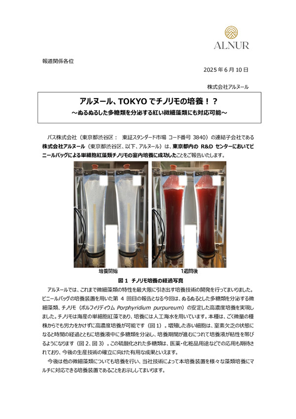 アルヌール、チノリモ（ポルフィリディウム）の室内・高濃度培養に成功のPDFサムネイル